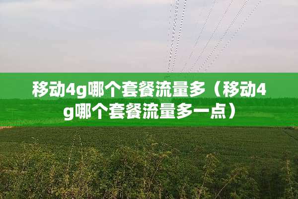 移动4g哪个套餐流量多（移动4g哪个套餐流量多一点）