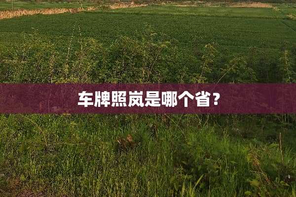 车牌照岚是哪个省？
