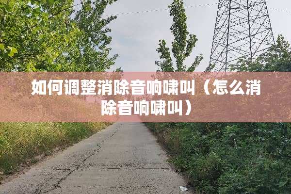 如何调整消除音响啸叫（怎么消除音响啸叫）