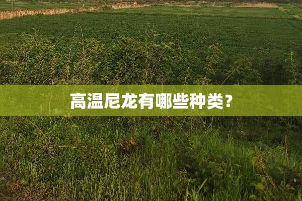 高温尼龙有哪些种类？