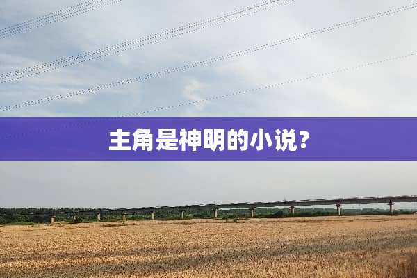 主角是神明的小说？