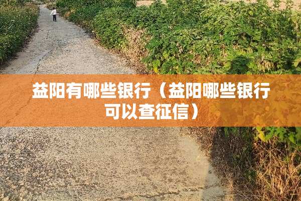 益阳有哪些银行（益阳哪些银行可以查征信）