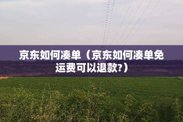 京东如何凑单（京东如何凑单免运费可以退款?）