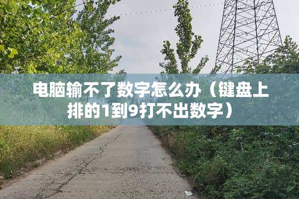 电脑输不了数字怎么办（键盘上排的1到9打不出数字）
