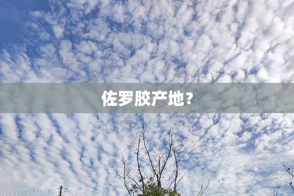 佐罗胶产地？