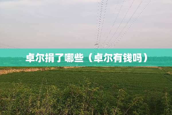 卓尔捐了哪些（卓尔有钱吗）