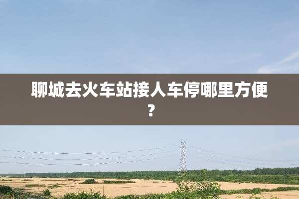 聊城去火车站接人车停哪里方便？