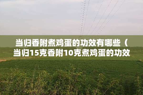 当归香附煮鸡蛋的功效有哪些（当归15克香附10克煮鸡蛋的功效）