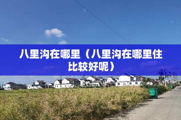 八里沟在哪里（八里沟在哪里住比较好呢）