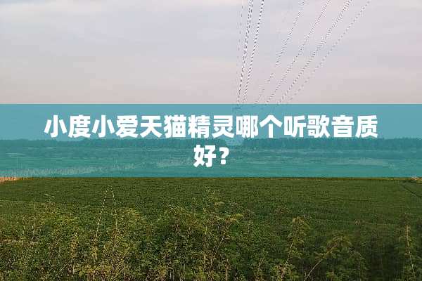 小度小爱天猫精灵哪个听歌音质好？