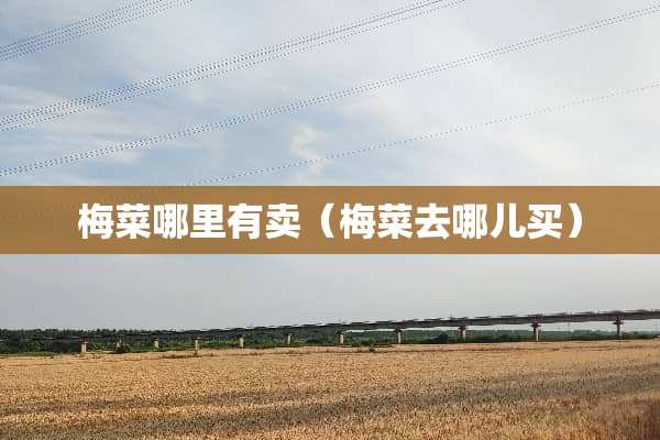 梅菜哪里有卖（梅菜去哪儿买）