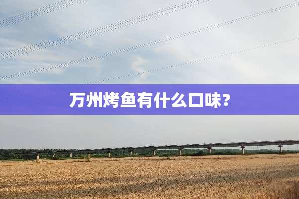 万州烤鱼有什么口味？