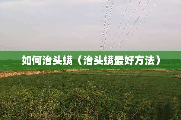 如何治头螨（治头螨最好方法）
