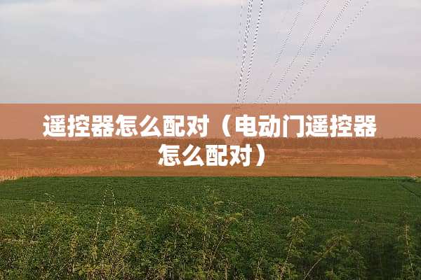 ***怎么配对（电动门***怎么配对）