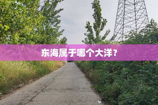 东海属于哪个大洋？