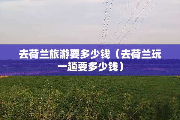 去荷兰旅游要多少钱（去荷兰玩一趟要多少钱）
