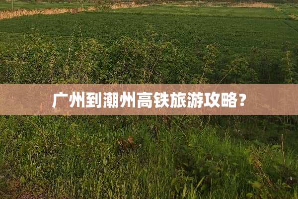 广州到潮州高铁旅游攻略？