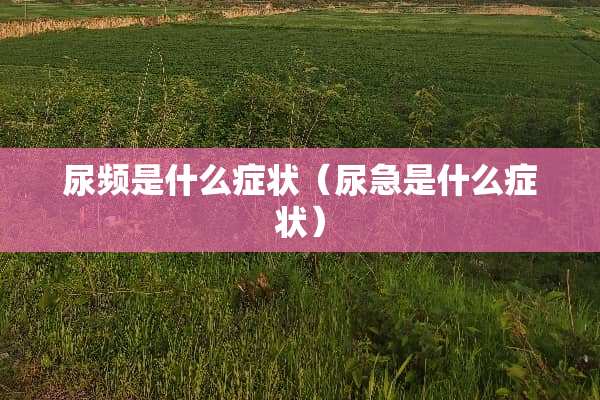 尿频是什么症状（尿急是什么症状）
