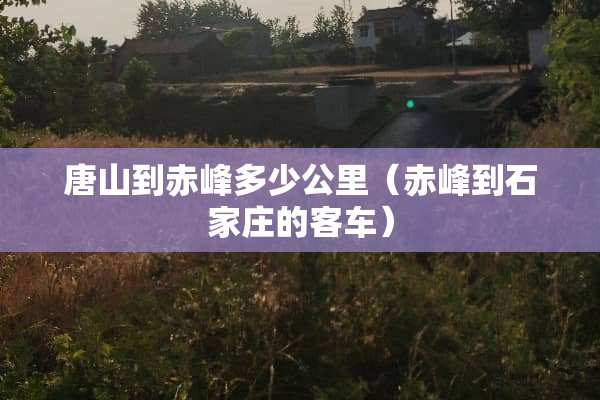 唐山到赤峰多少公里（赤峰到石家庄的客车）