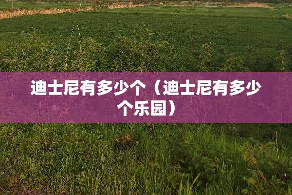 迪士尼有多少个（迪士尼有多少个乐园）