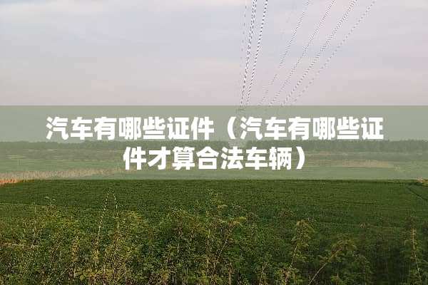 汽车有哪些**（汽车有哪些**才算合法车辆）