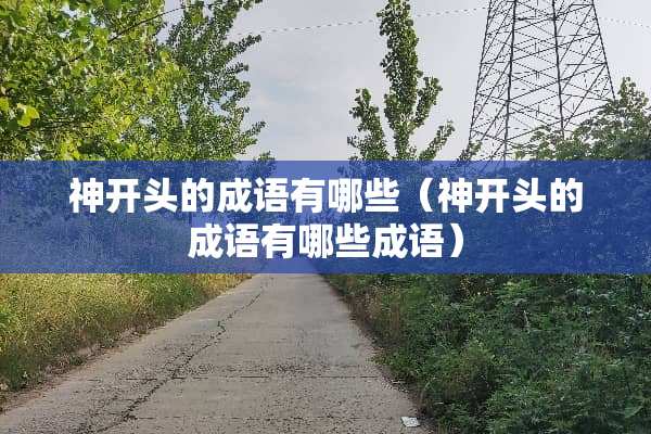 神开头的成语有哪些（神开头的成语有哪些成语）