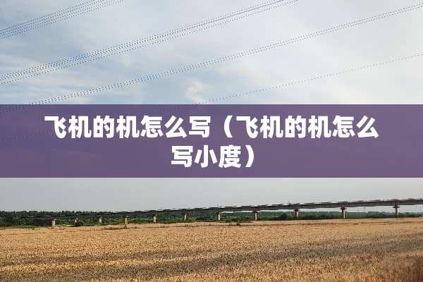飞机的机怎么写（飞机的机怎么写小度）