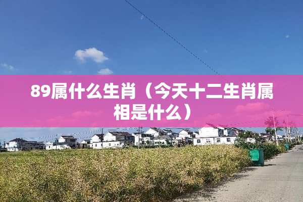 89属什么生肖（今天十二生肖属相是什么）