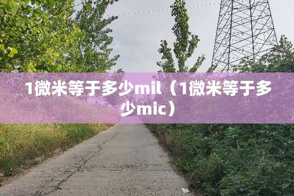 1微米等于多少mil（1微米等于多少mic）