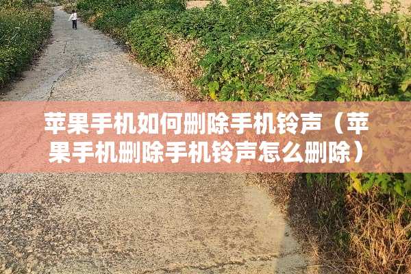 苹果手机如何删除手机铃声（苹果手机删除手机铃声怎么删除）