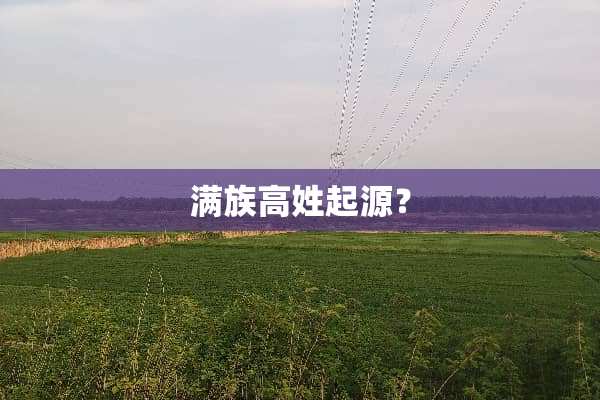 满族高姓起源？