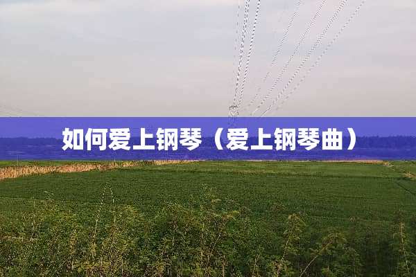 如何爱上钢琴（爱上钢琴曲）