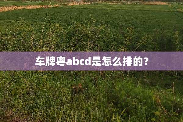 车牌粤abcd是怎么排的？