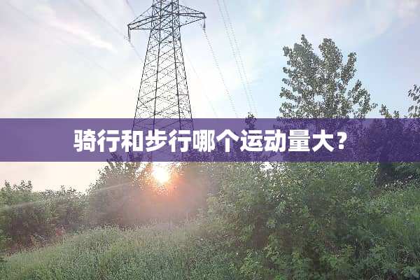 骑行和步行哪个运动量大？