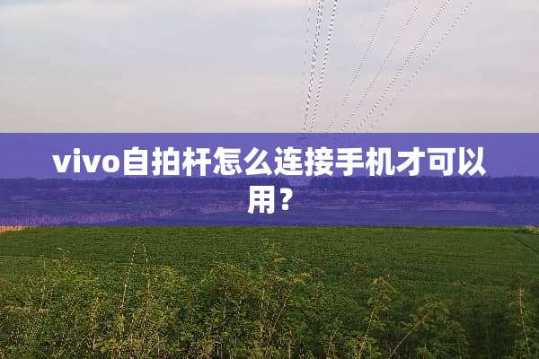 vivo**杆怎么连接手机才可以用？
