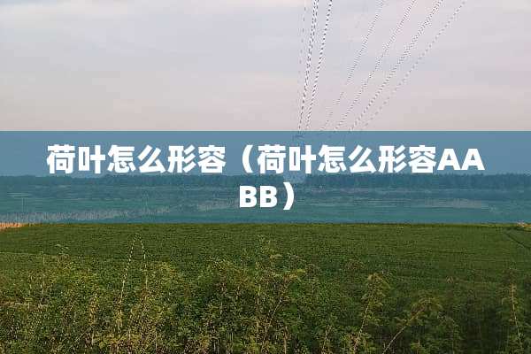 荷叶怎么形容（荷叶怎么形容AABB）