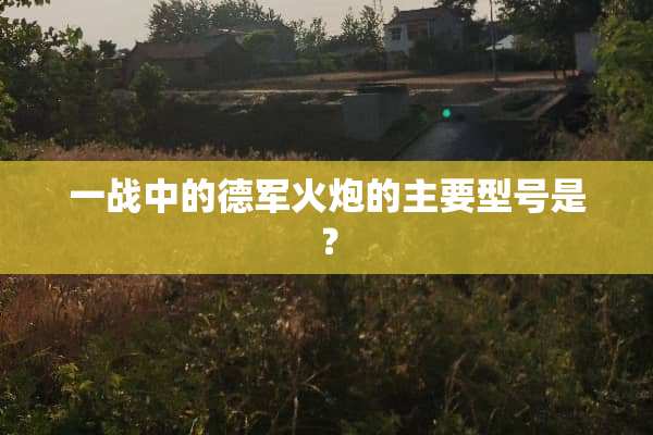 一战中的德***的主要型号是？