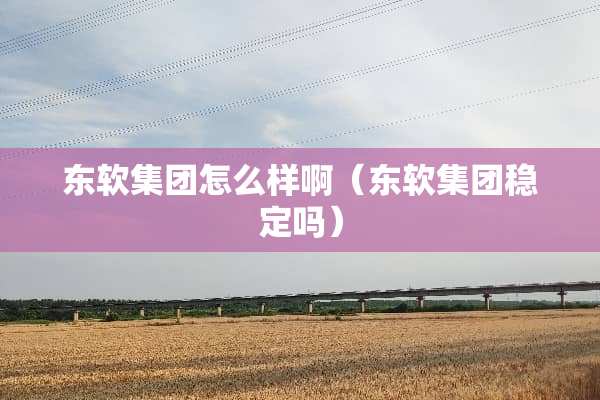 东软集团怎么样啊（东软集团稳定吗）