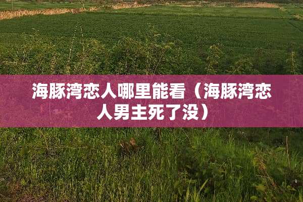 海豚湾恋人哪里能看（海豚湾恋人男主死了没）