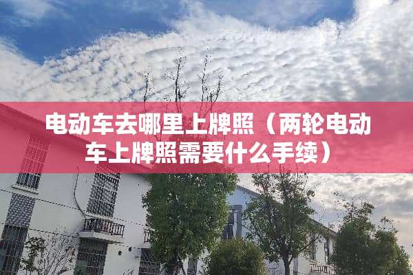 电动车去哪里上牌照（两轮电动车上牌照需要什么手续）