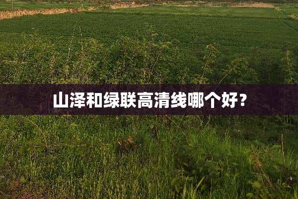 山泽和绿联高清线哪个好？