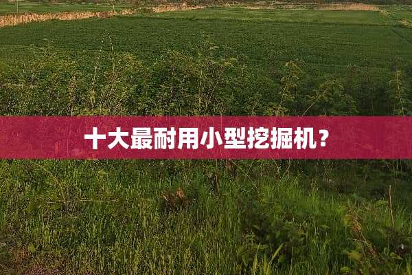 十大最耐用小型挖掘机？
