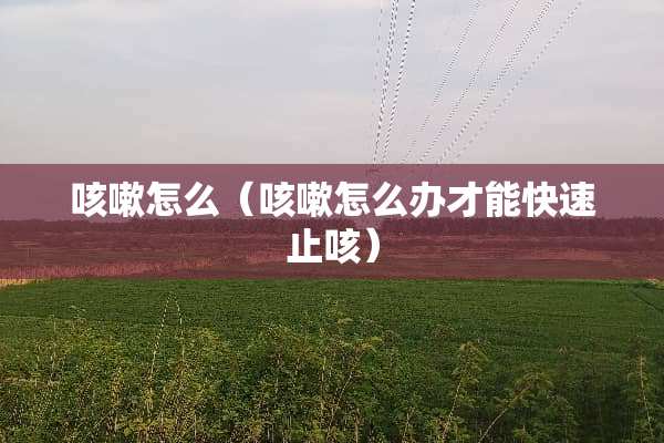 咳嗽怎么（咳嗽怎么办才能快速止咳）