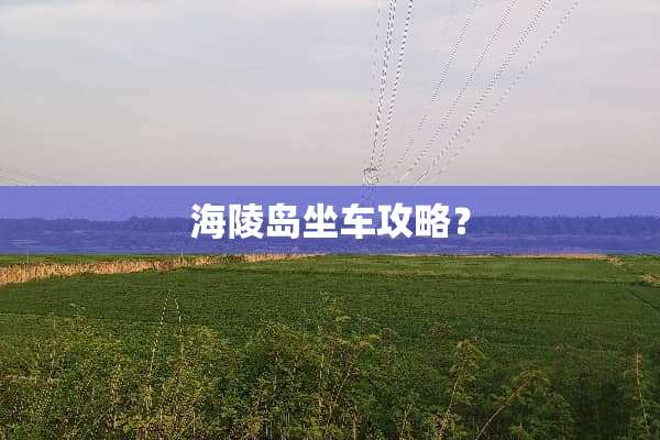 海陵岛坐车攻略？