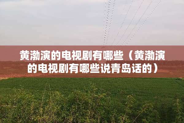 黄渤演的电视剧有哪些（黄渤演的电视剧有哪些说青岛话的）