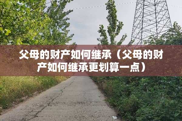 父母的财产如何继承（父母的财产如何继承更划算一点）