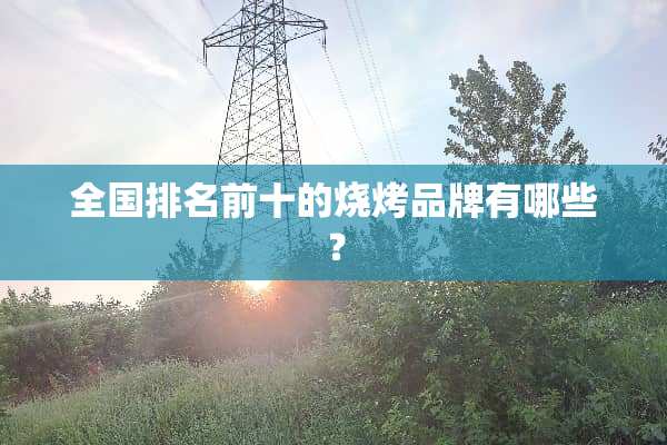 全国排名前十的烧烤品牌有哪些？
