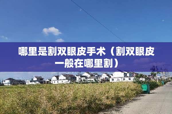 哪里是割双眼皮手术（割双眼皮一般在哪里割）