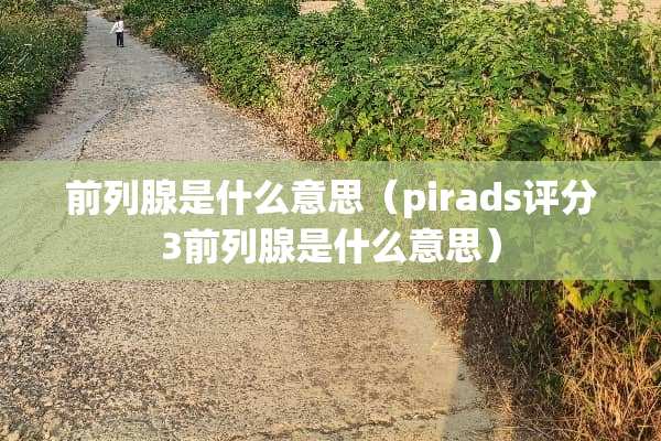 前列腺是什么意思（pirads评分3前列腺是什么意思）