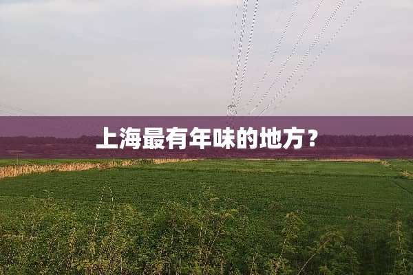 上海最有年味的地方？
